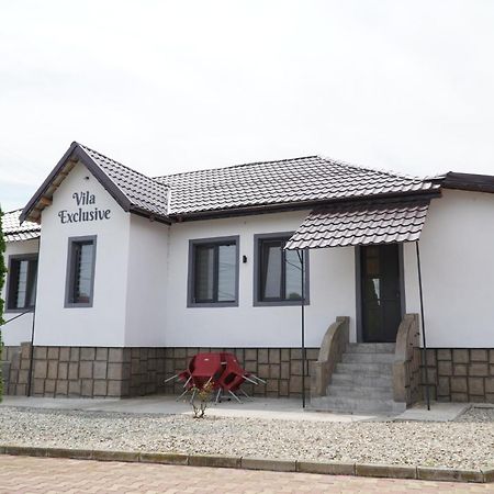 Vila Exclusive Târgu Jiu Екстериор снимка