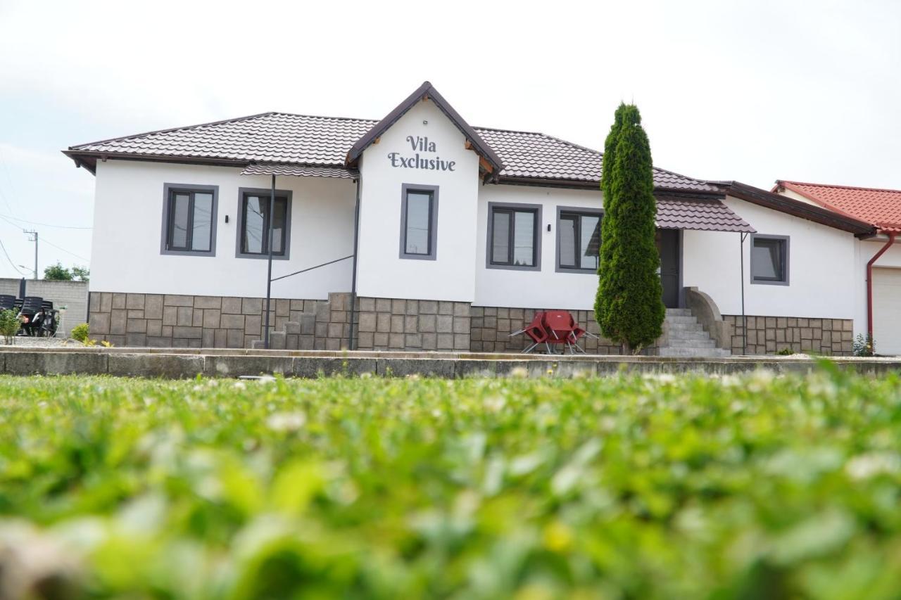 Vila Exclusive Târgu Jiu Екстериор снимка