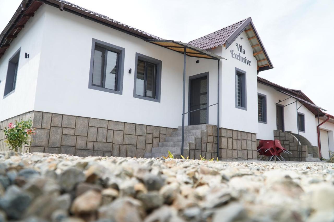 Vila Exclusive Târgu Jiu Екстериор снимка